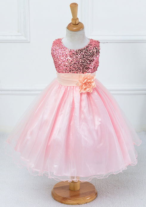 Mesh Paggy Dress